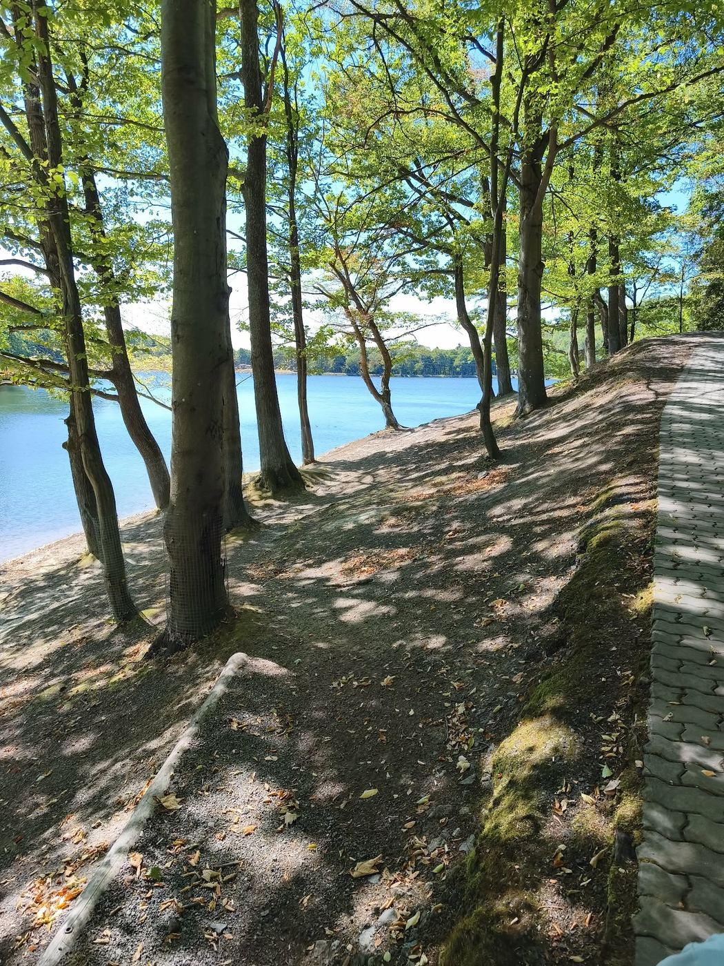 Lesná cesta popri Počúvadlianskom jazere